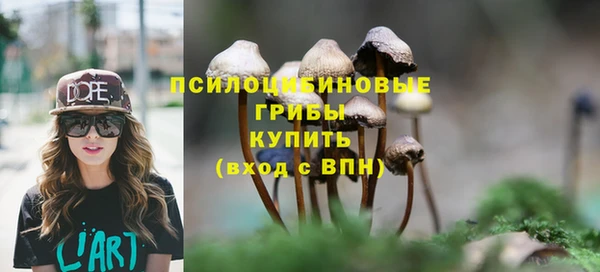 стафф Костерёво