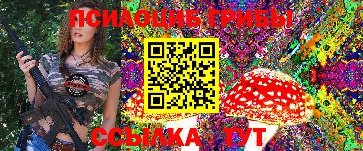 Петропавловск-Камчатский  Галлюциногенные грибы Magic Shrooms  где продают наркотики  Псилоцибиновые грибы Psilocybe  Вход с VPN 